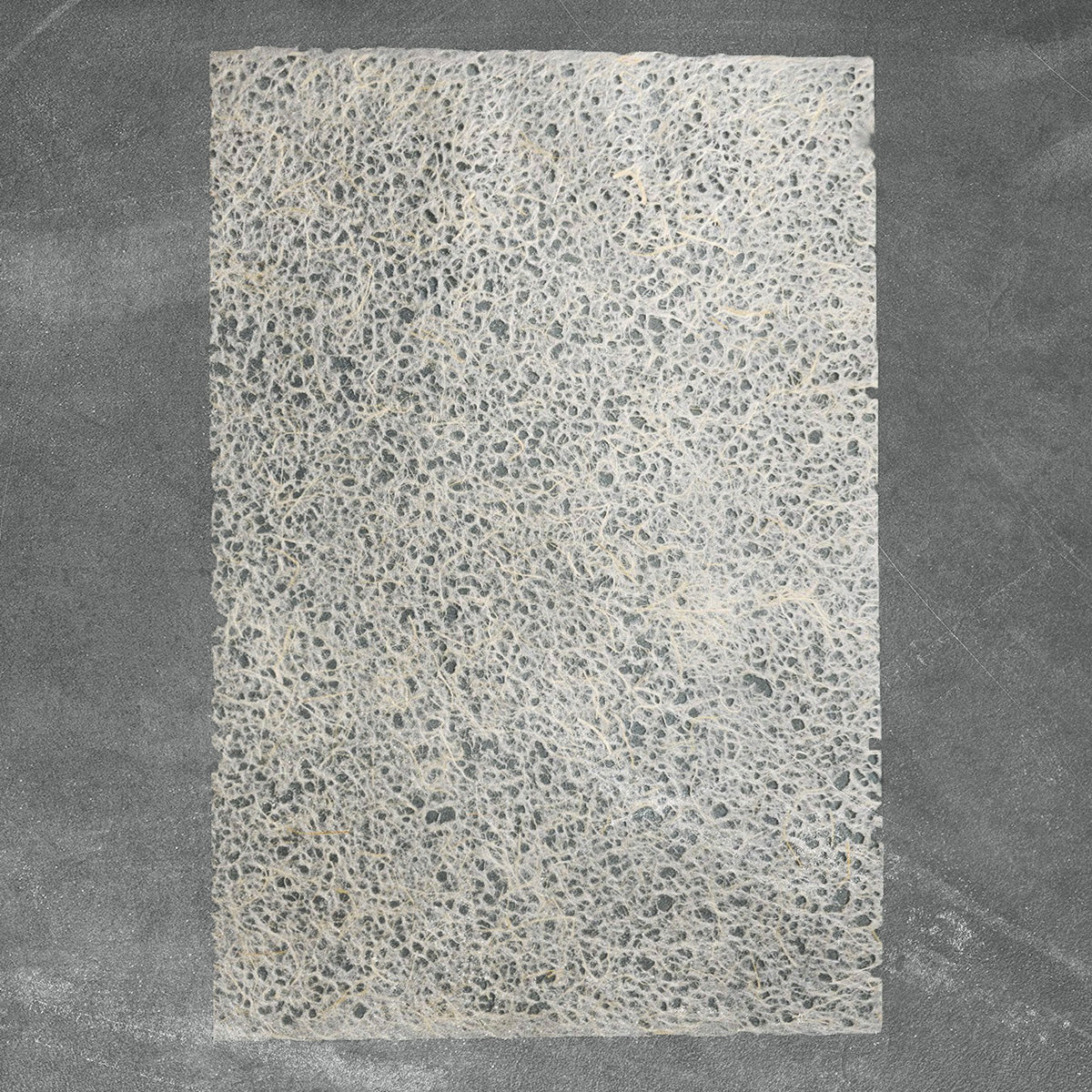 Asarakusui Lace Paper (Natural) - Image 2