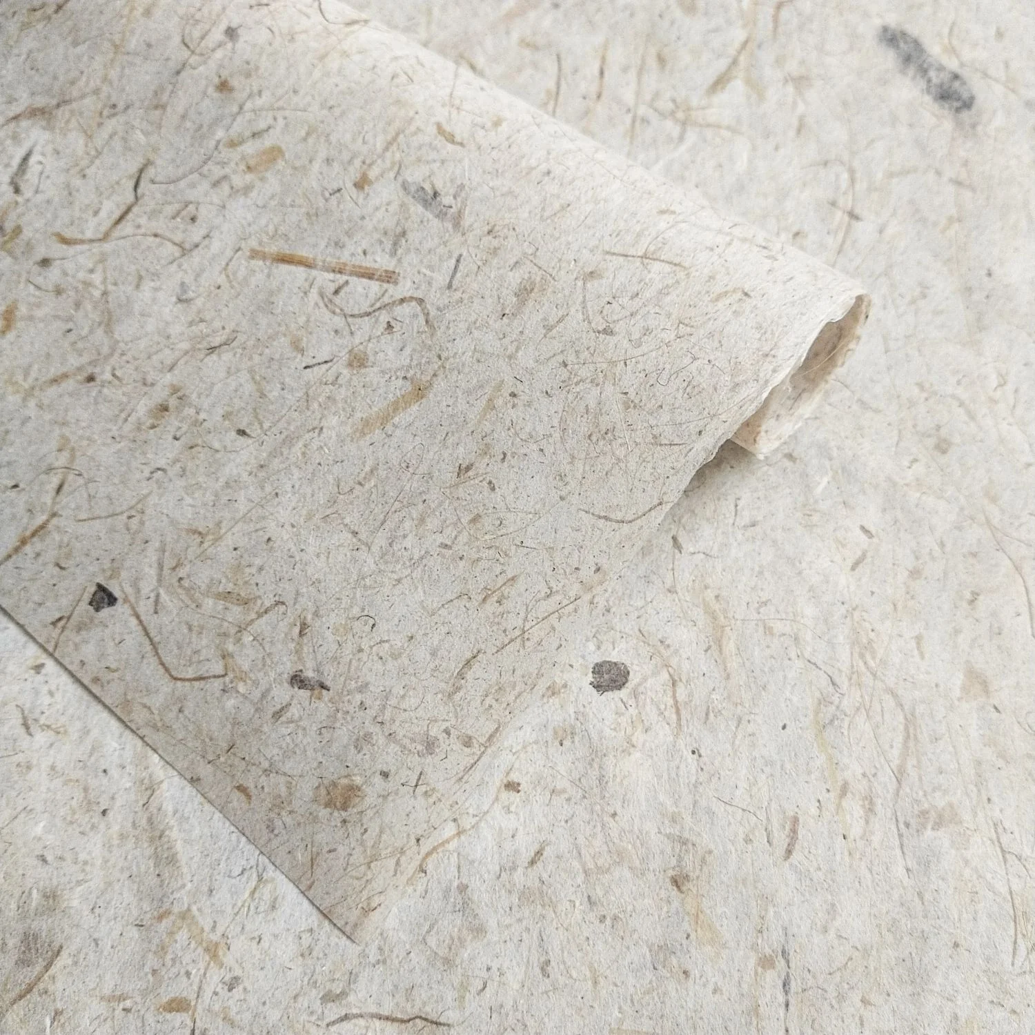 Banana Fiber Kozo Paper - Image 4