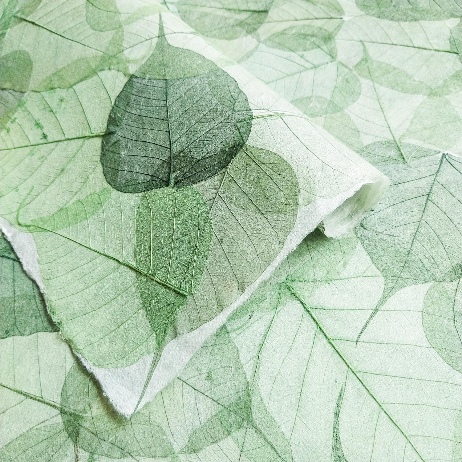 Handmade Buddha Leaf Kozo Paper (Green) - Image 3