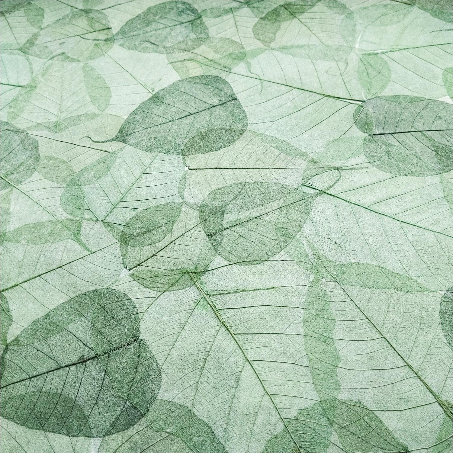 Handmade Buddha Leaf Kozo Paper (Green) - Image 4