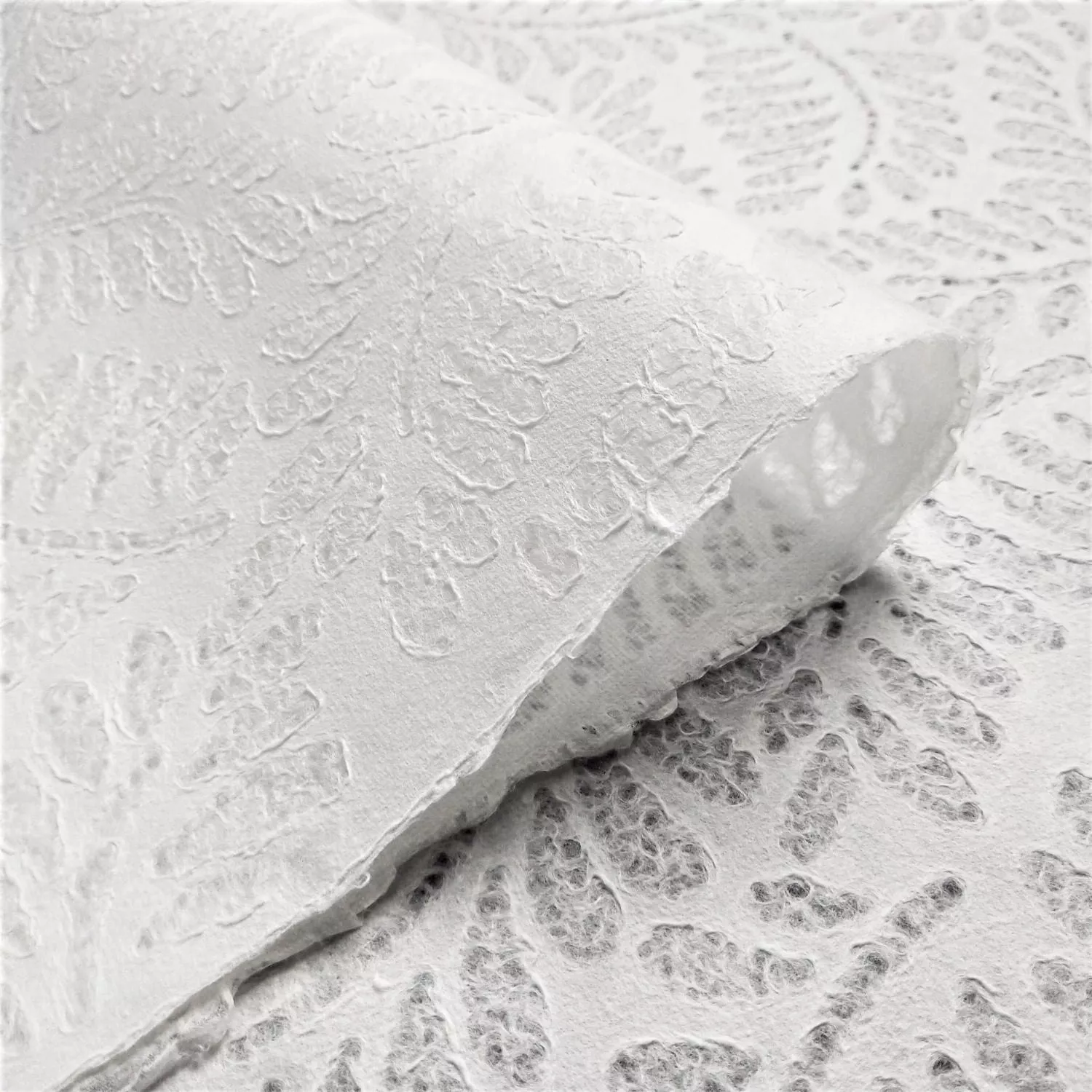 Handmade Lace Kozo Paper (Fern) - Image 5