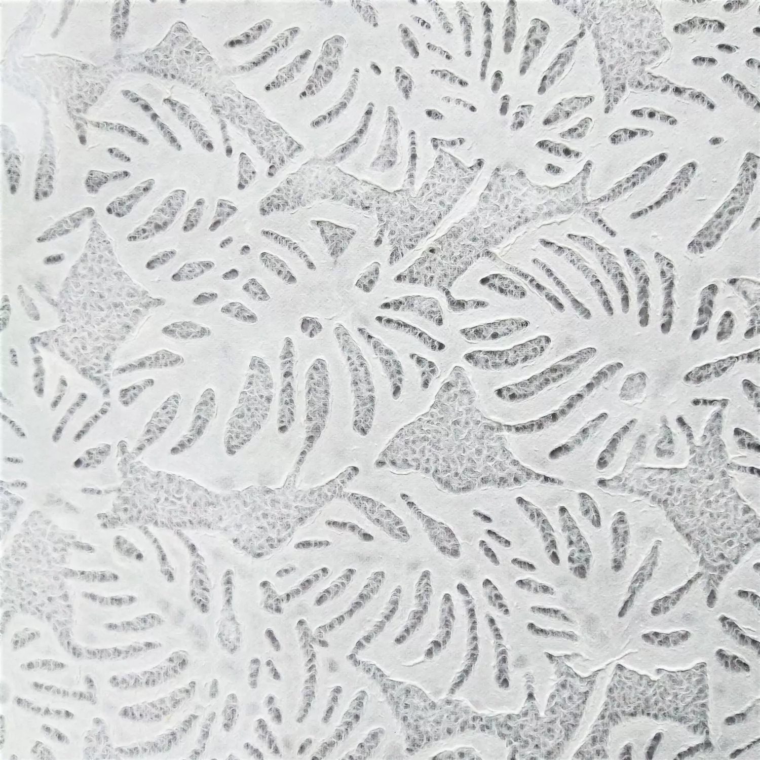 Handmade Lace Kozo Paper (Monstera) - Image 3