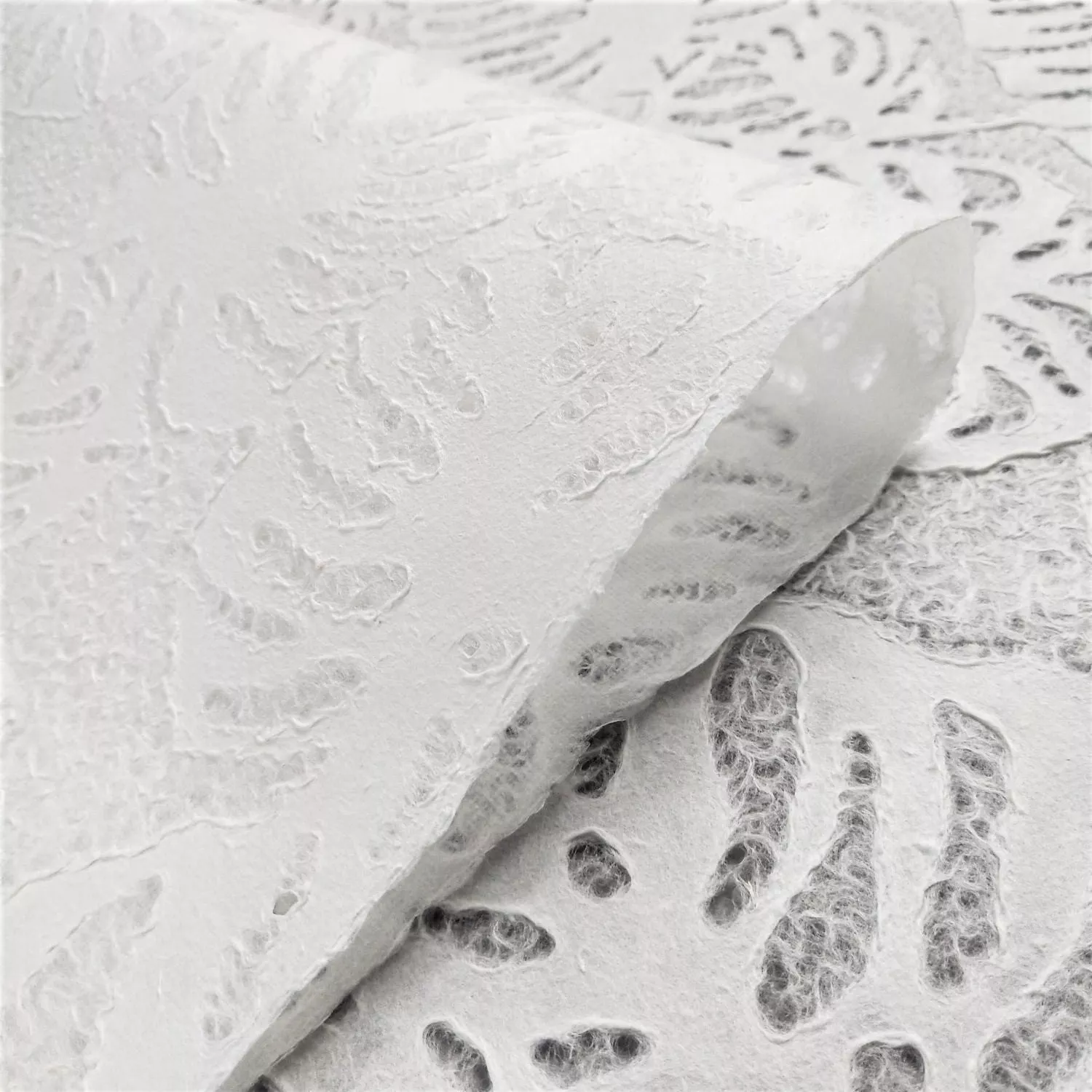 Handmade Lace Kozo Paper (Monstera) - Image 5