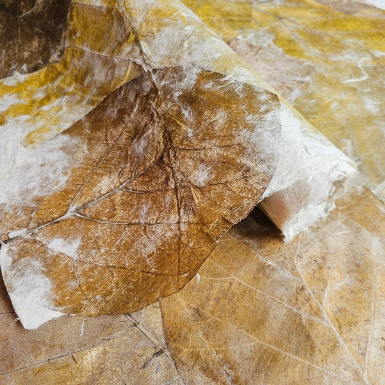 Handmade Teak Leaf Kozo Paper - Image 3