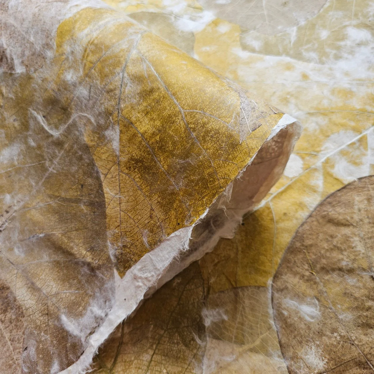 Handmade Teak Leaf Kozo Paper - Image 4