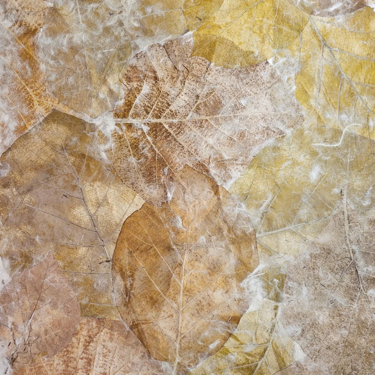Handmade Teak Leaf Kozo Paper - Image 5