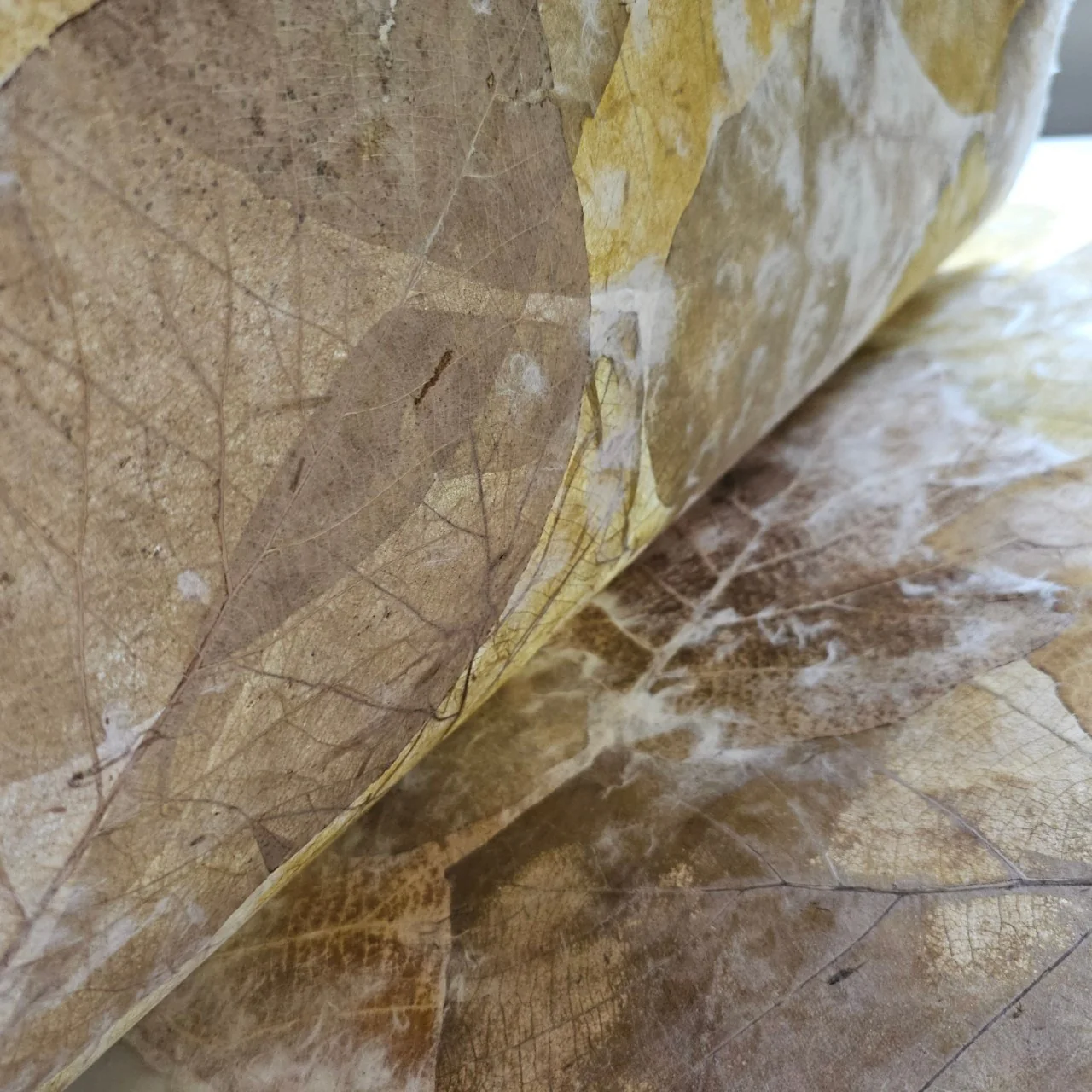 Handmade Teak Leaf Kozo Paper - Image 6