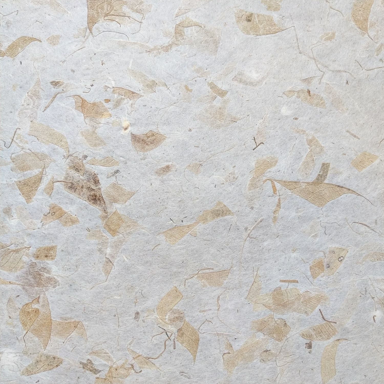 Mango Leaf Kozo Paper - Image 3