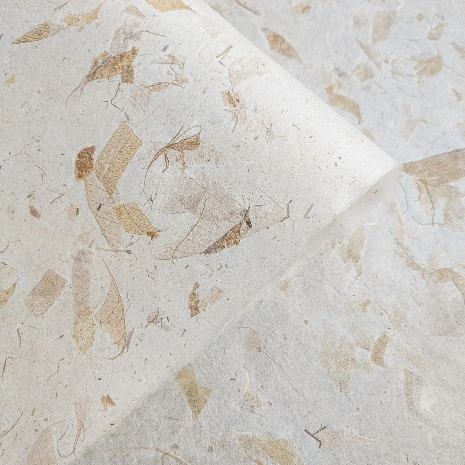 Mango Leaf Kozo Paper - Image 5