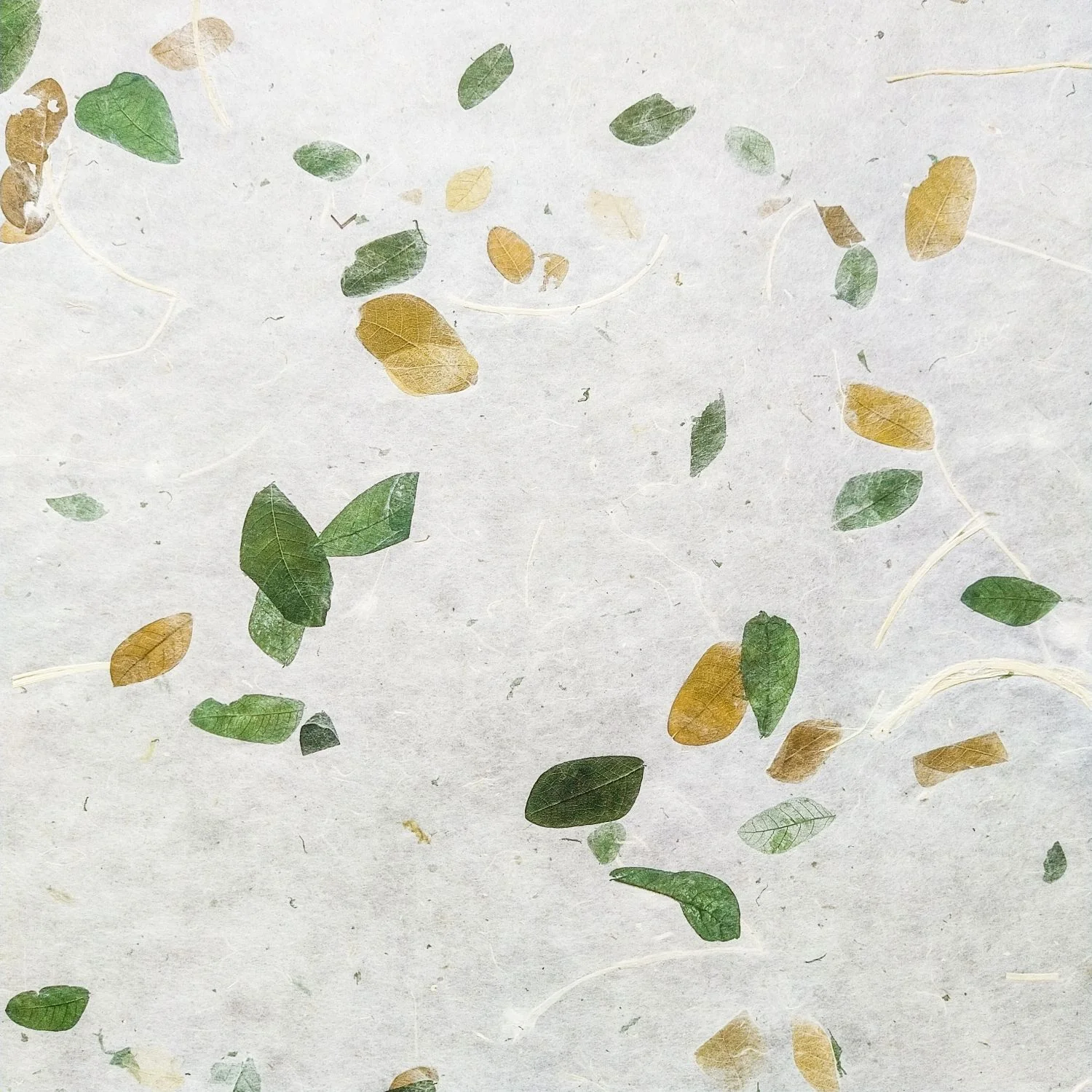 Raintree Kozo Paper - Image 3