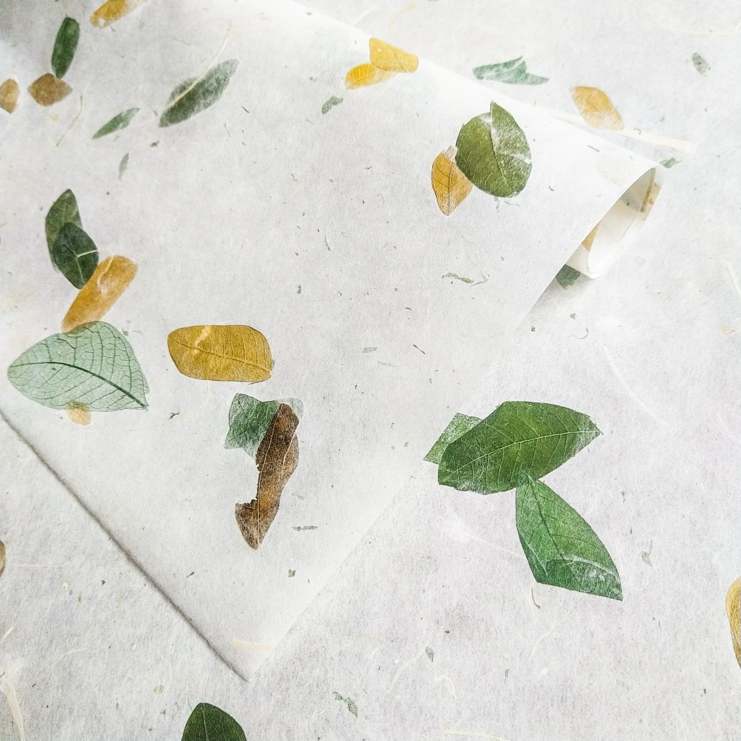Raintree Kozo Paper - Image 4