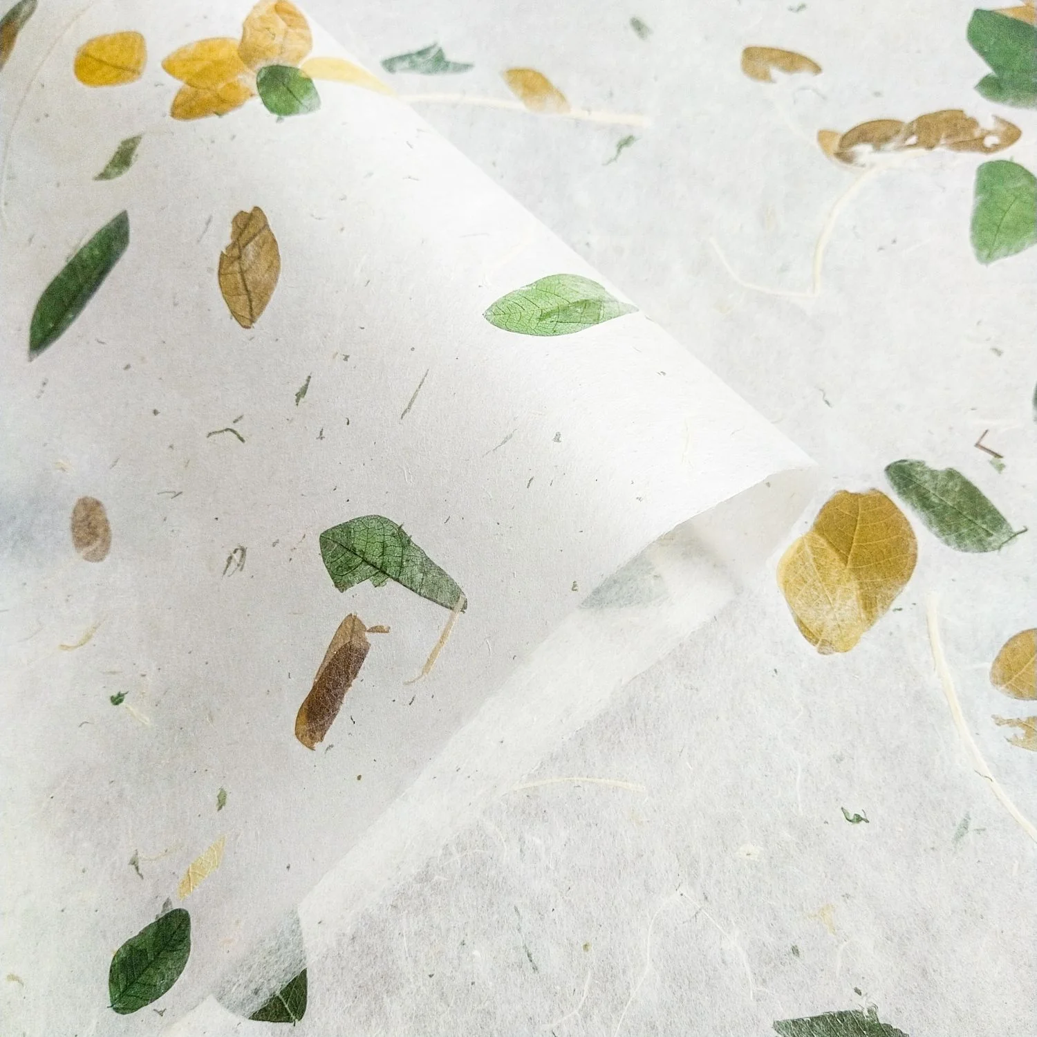 Raintree Kozo Paper - Image 5
