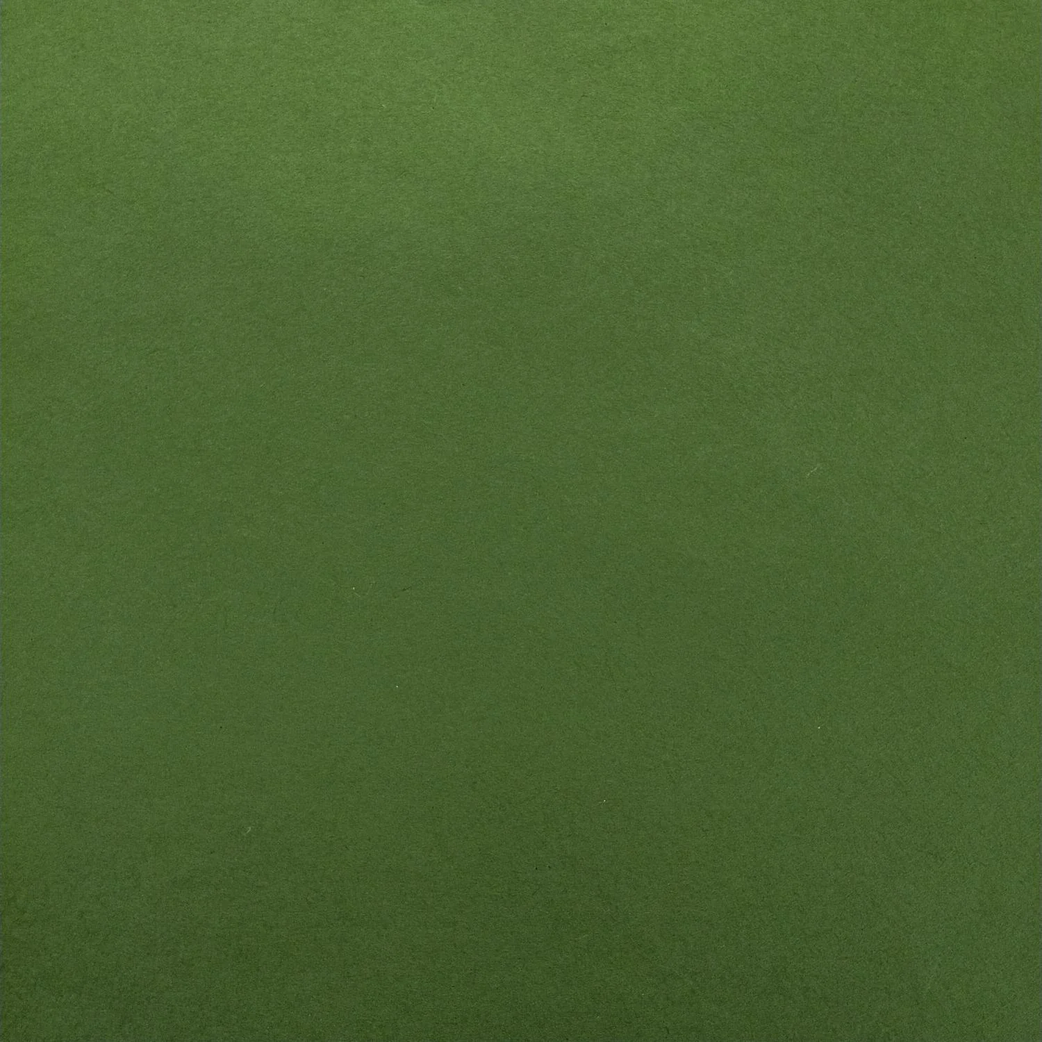Solid-Colored Kozo Paper (Fern Green) - Image 3