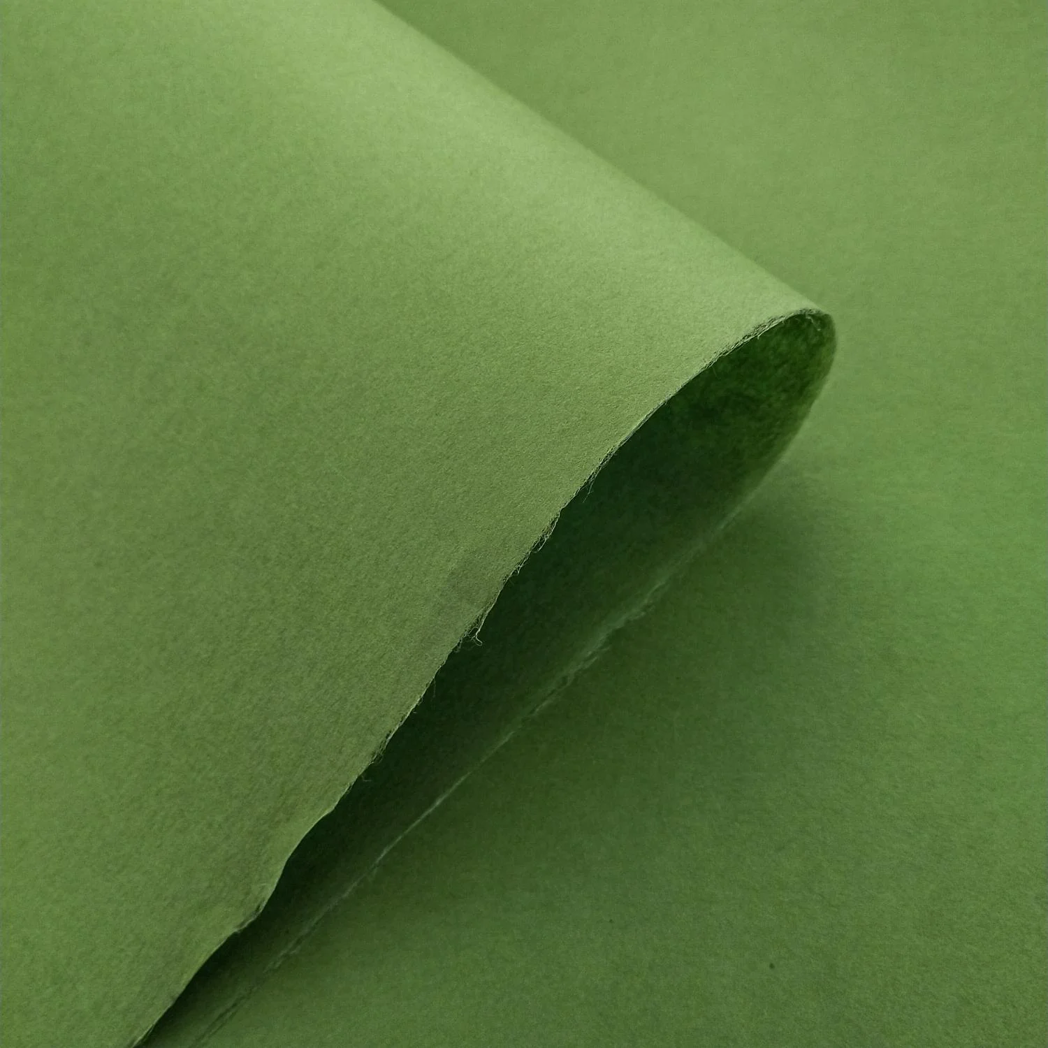 Solid-Colored Kozo Paper (Fern Green) - Image 4