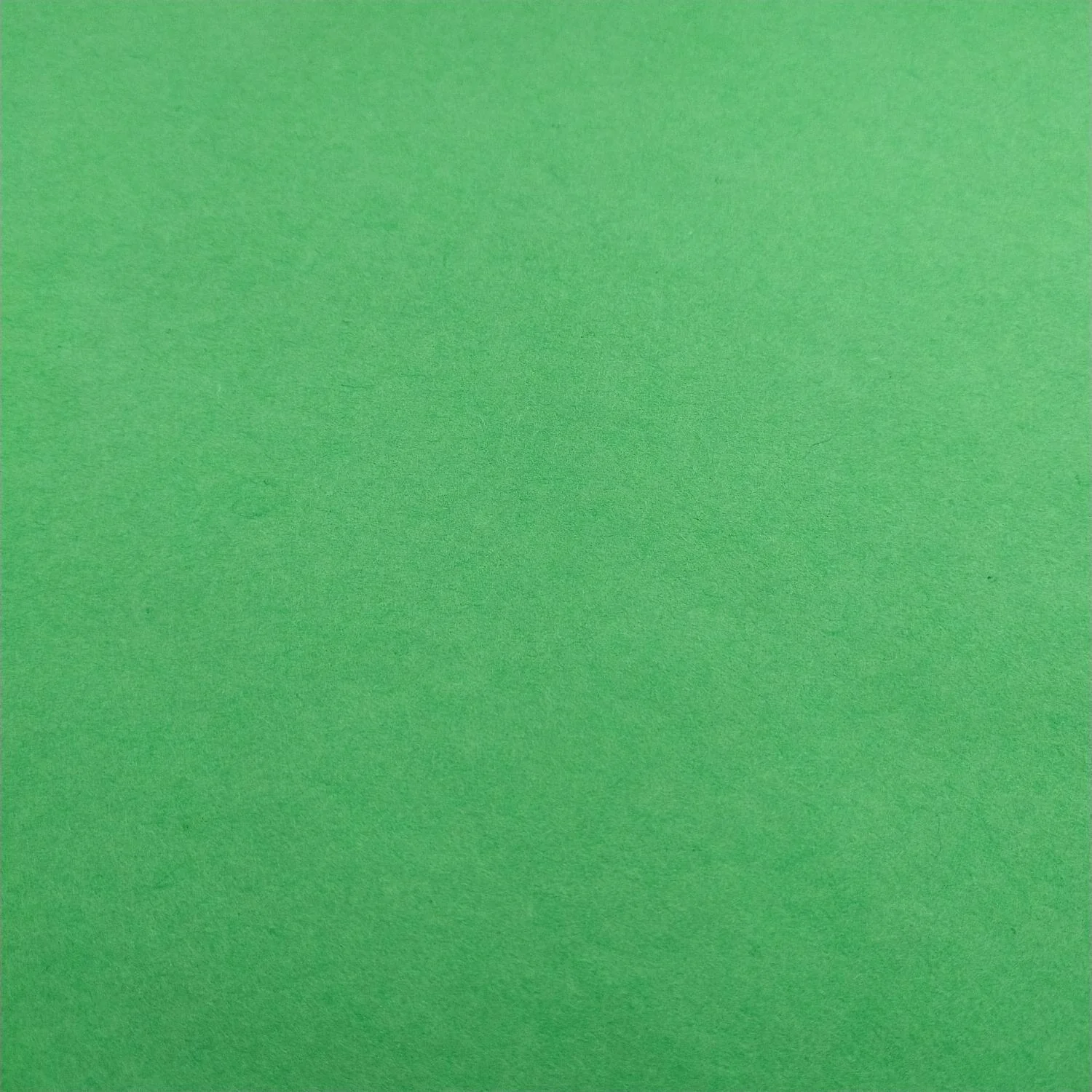 Solid-Colored Kozo Paper (Forest Green) - Image 3