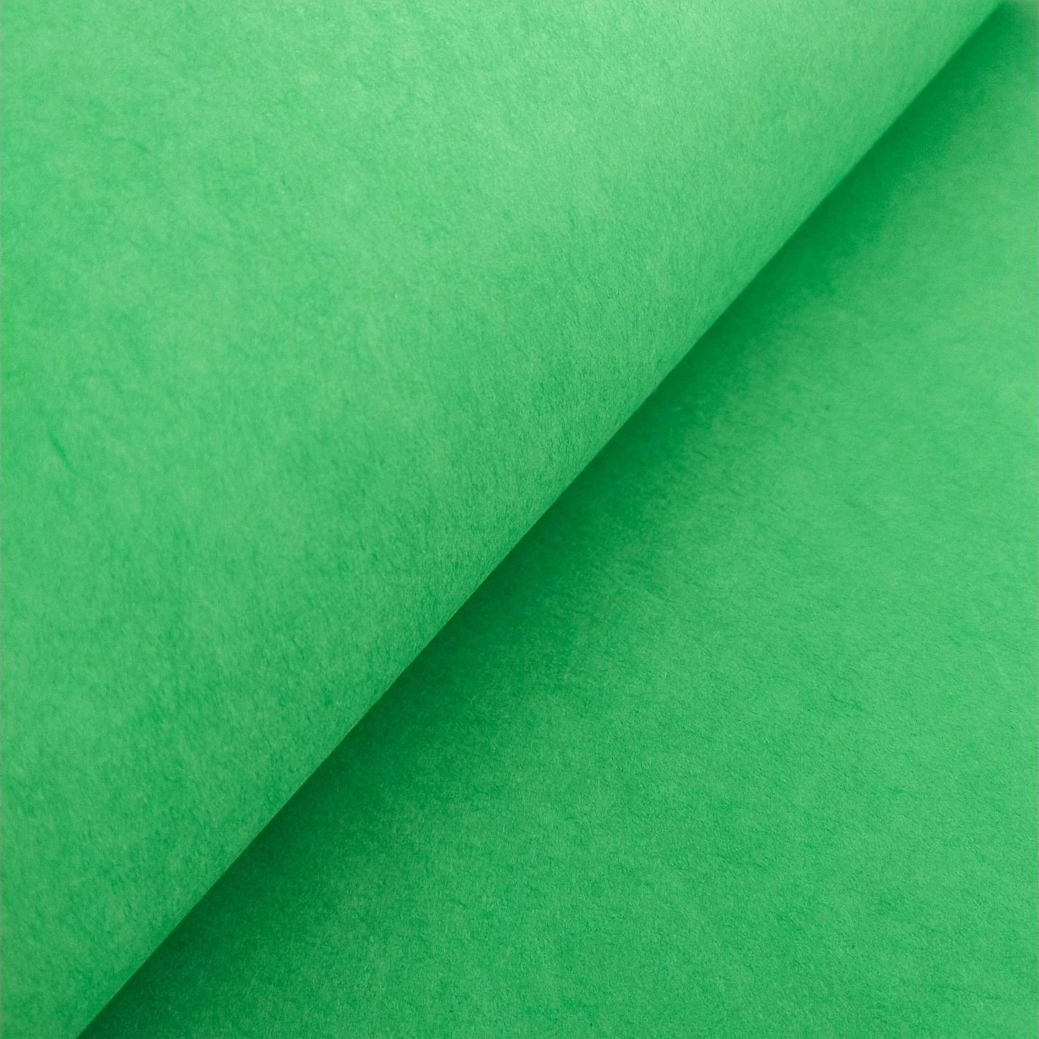 Solid-Colored Kozo Paper (Forest Green) - Image 5