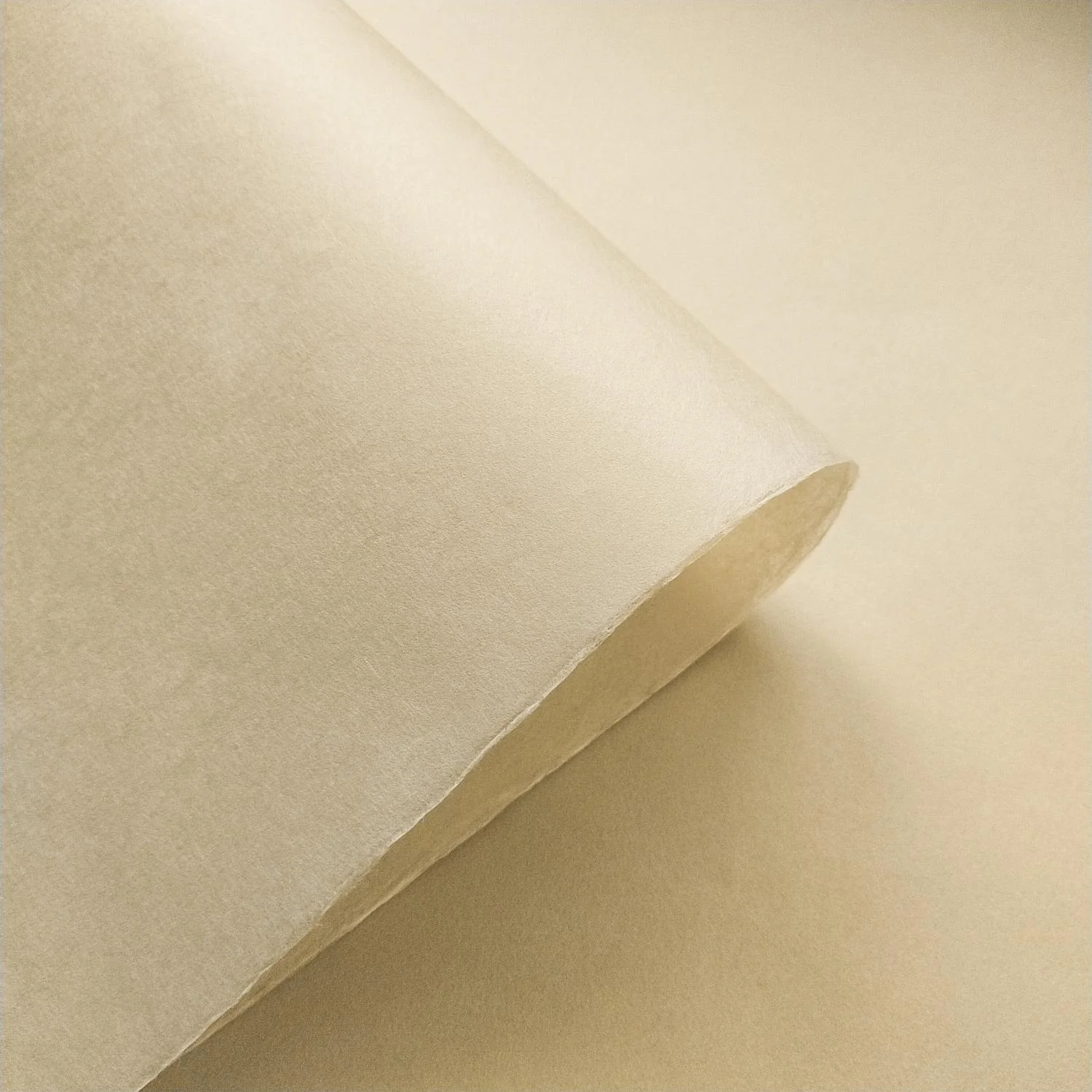 Solid-Colored Kozo Paper (Ivory) - Image 4