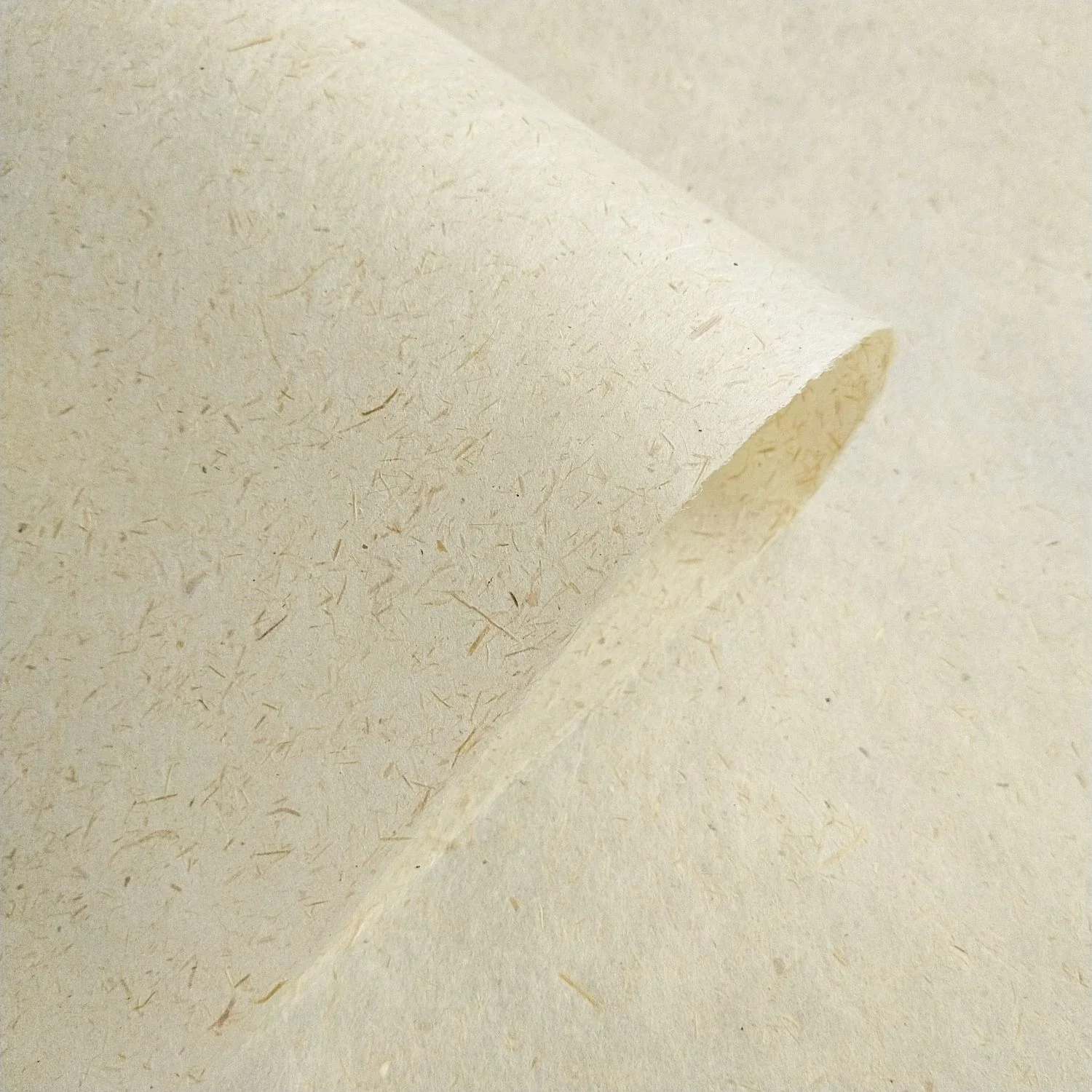 Sugarcane Kozo Paper - Image 5