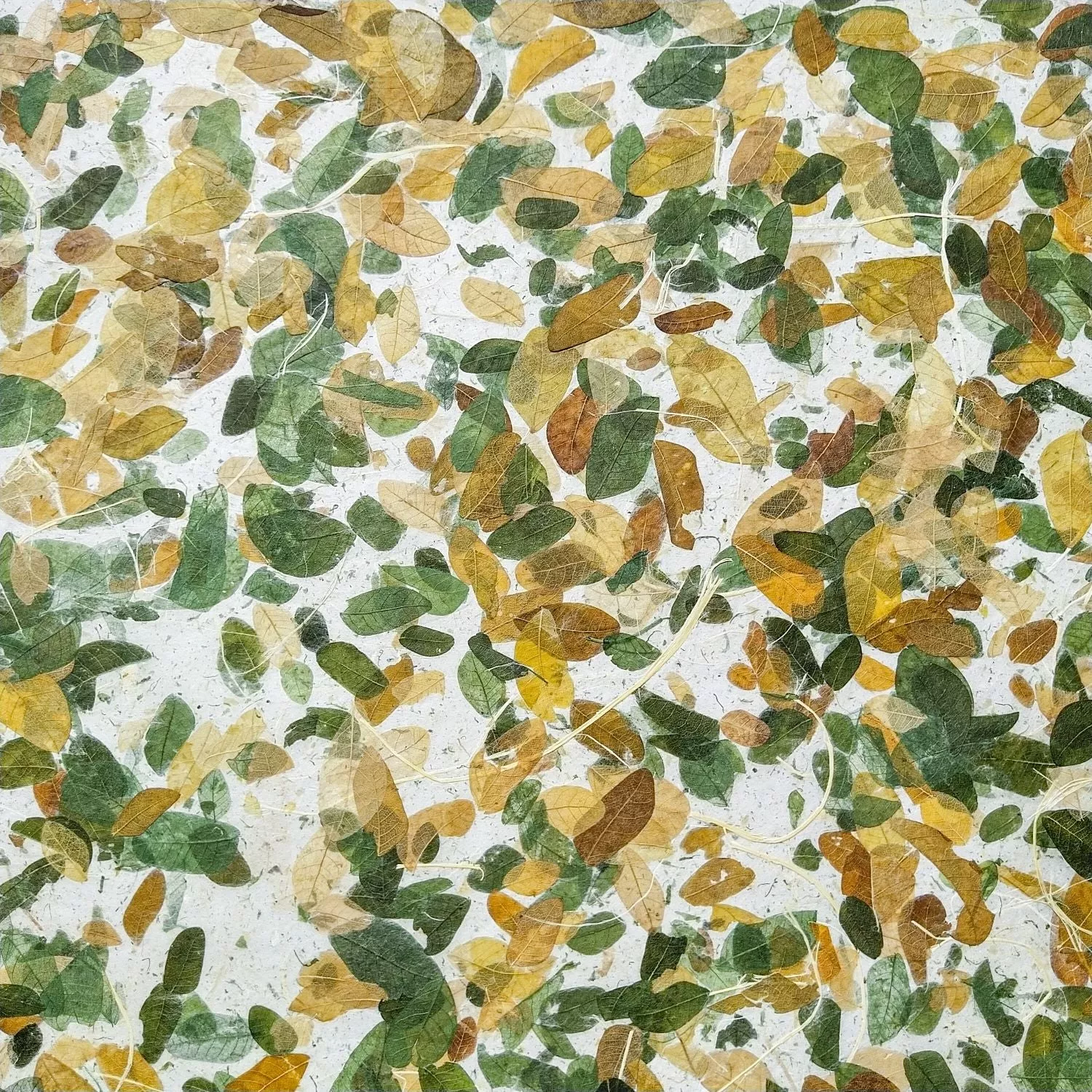 Very Raintree Kozo Paper - Image 3