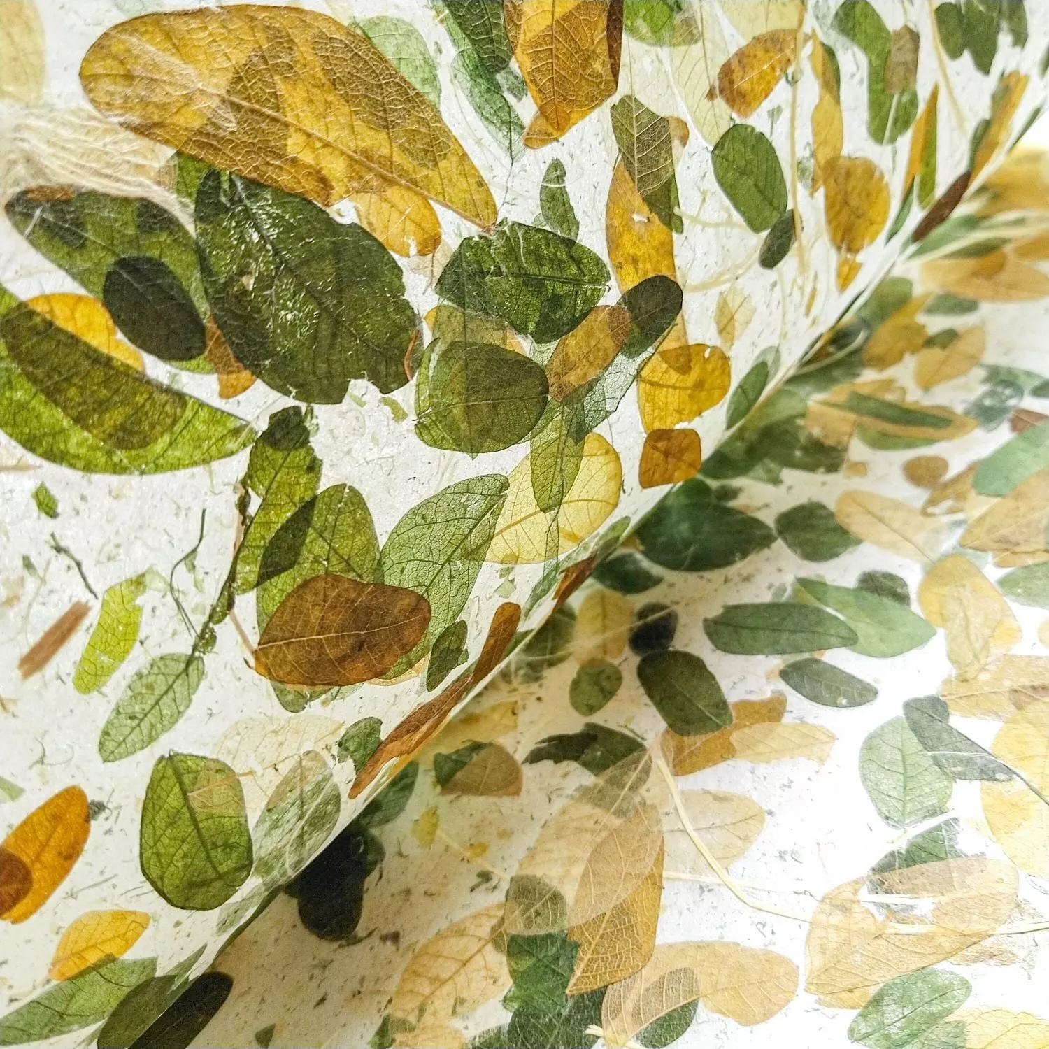 Very Raintree Kozo Paper - Image 4