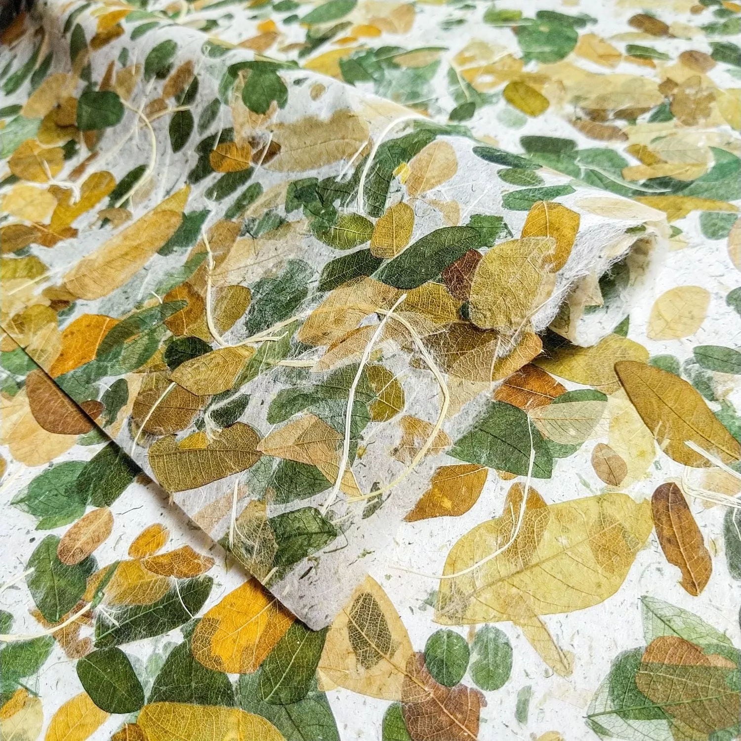 Very Raintree Kozo Paper - Image 6