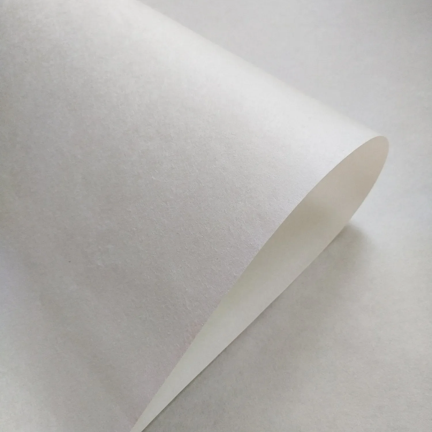 Printmaking, Painting, & Calligraphy